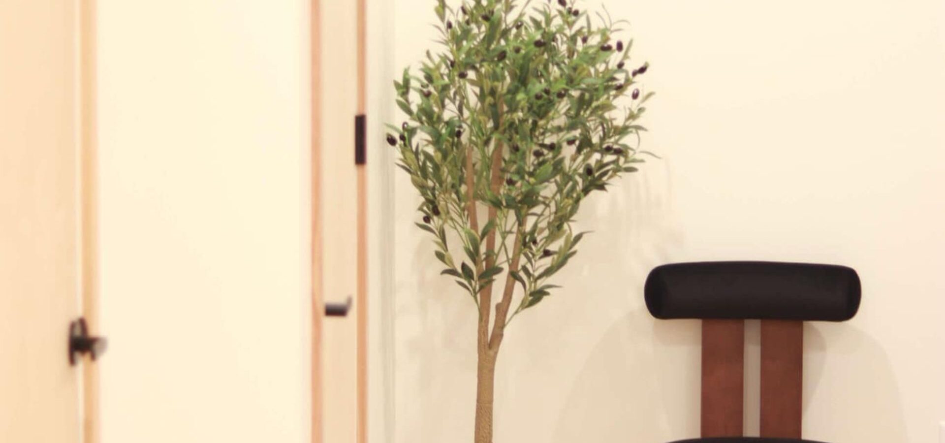 Olive plant with green leaves and dark berries next to a modern wooden stool with black cushioning in a minimalist interior space